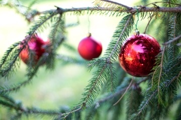 christmas-tree-proposal