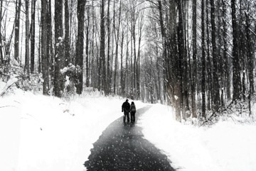 winter-walk-proposal